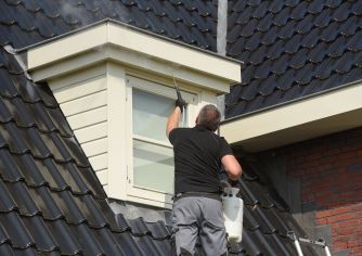 Wespennest verwijderen Wespen verwijderen